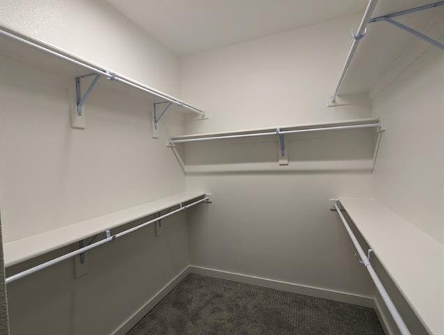 Building Photo - 870 Cavitt Ct