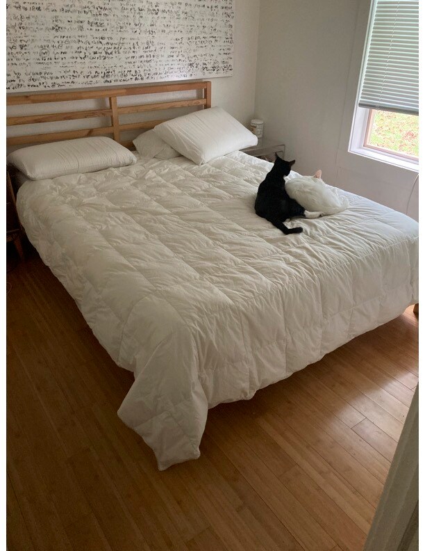 Building Photo - 608 4th St