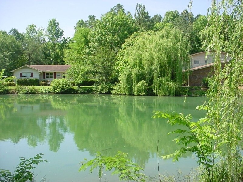 Building Photo - 130 S Estes Dr