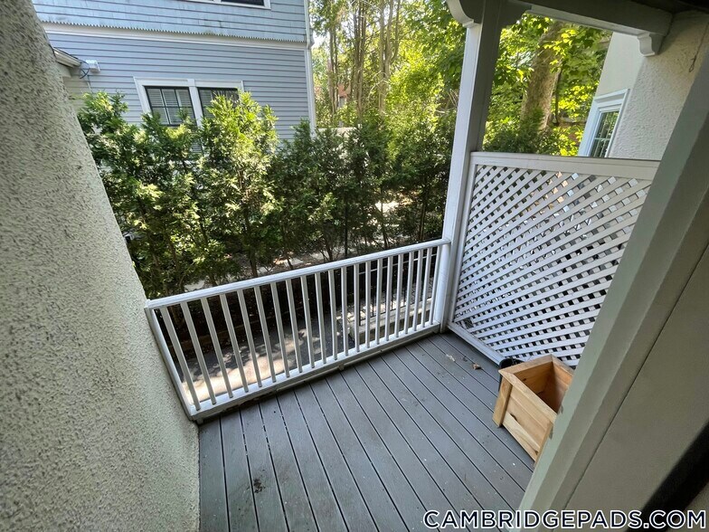 Building Photo - 65 Langdon St