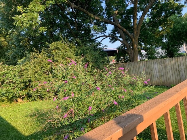 Building Photo - Walnut Grove House 3 Bedroom 1 Bath + covered car port!