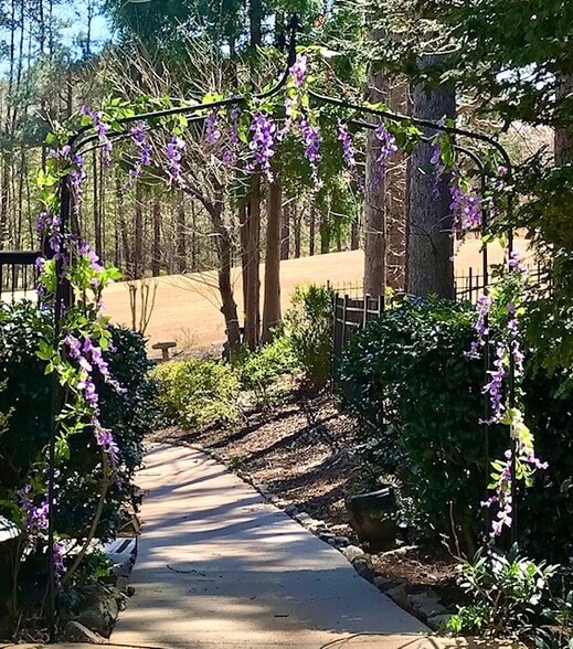 Private walk to entrance - 407 Clubview Dr