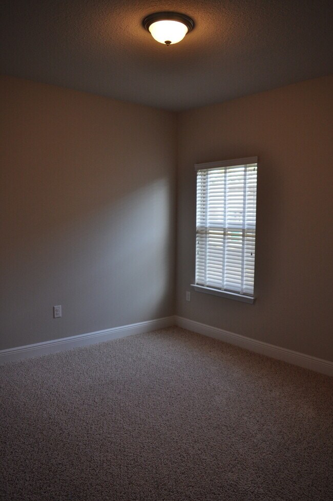 Building Photo - New 3 Bedroom in Driftwood Estates