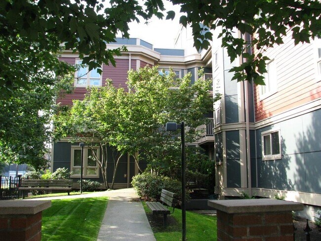 Lush Greenery - Mercer Court Apartments