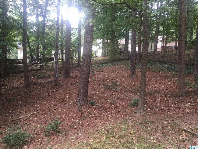 Building Photo - 516 Windy Ln