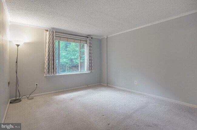 Building Photo - 1730 Arlington Blvd