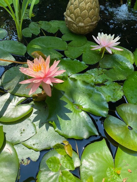 Building Photo - 1023 Crawford St