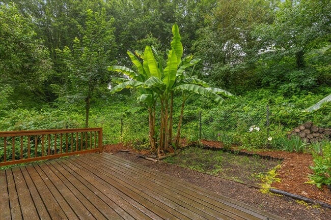 Building Photo - Newly Renovated + Sunny & Bright, 2 Bedroo...