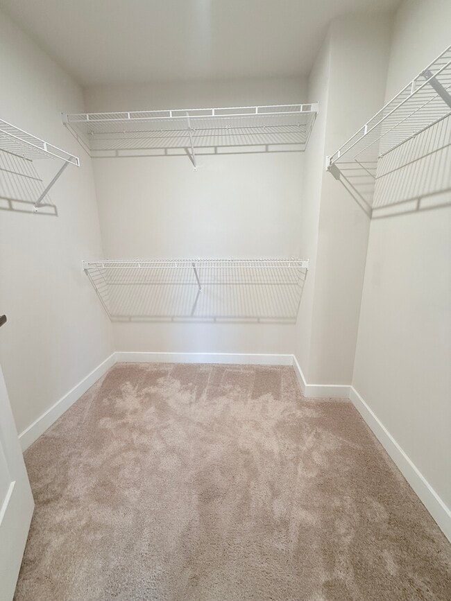 Building Photo - 1337 Moose Ridge Ln