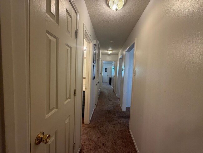 Building Photo - 3BED/2BATH/1 CAR GARAGE: AVAILABLE JUNE 15TH IN LISD!!