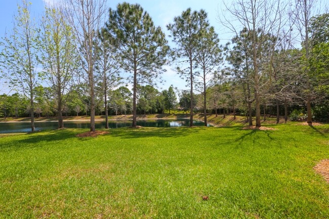 Building Photo - 8114 Villa Grande Ct