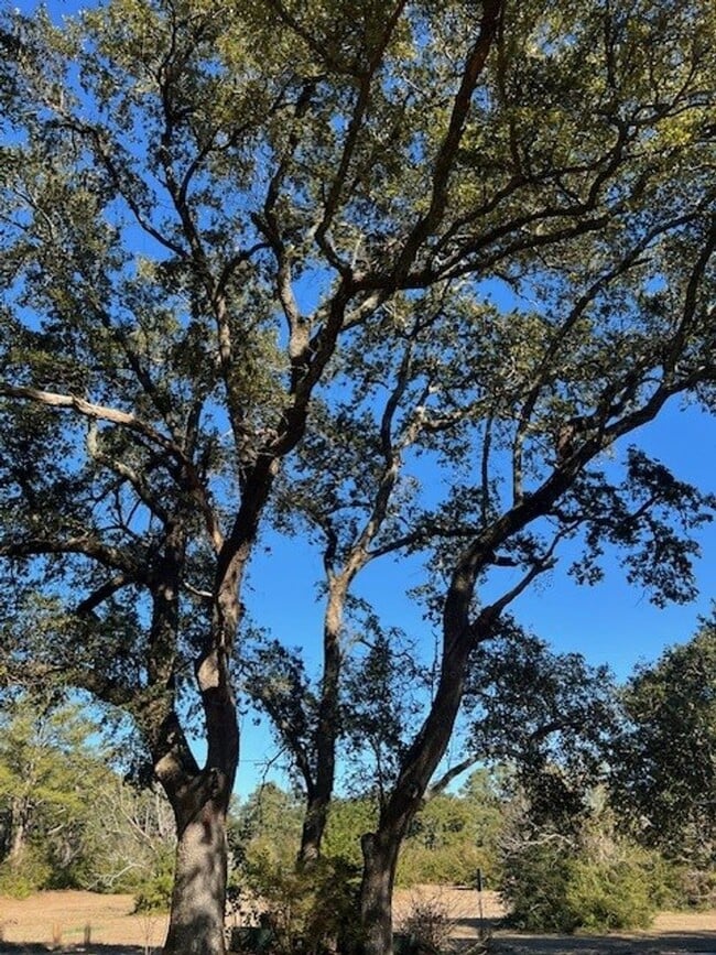 Building Photo - Peden Point/Mrytle Grove/Masonboro Loop South Wilmington  2 garage garage! Oak Trees! Covered Porch!