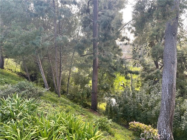 Building Photo - 638 Avenida Sevilla