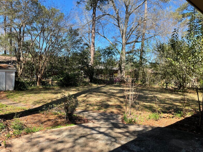 Back Yard - 2641 Japonica Dr