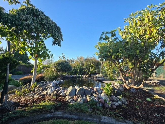 Building Photo - Stunning 4BR/2BA Fortuna home in quiet nei...