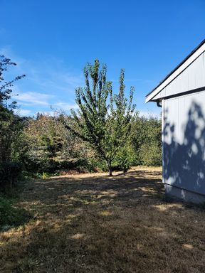 Building Photo - Remodeled 3 bed/2 bath in High Point/West Seattle with large fully fenced yard now at $2850!