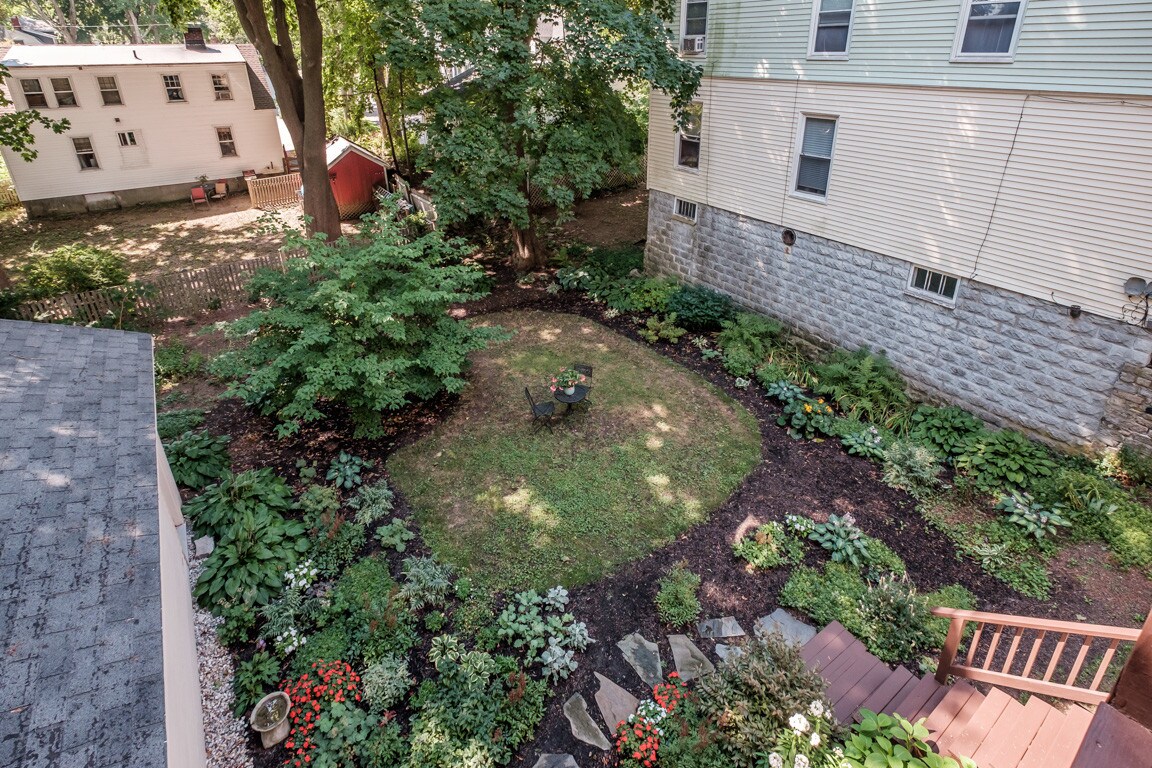 Back Garden - 34 Pleasant Ave