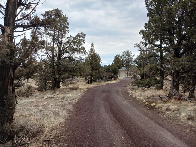 Building Photo - Beautiful Unique 4 Bedroom home with a loft & 3 full bathrooms! Move In Special $500 off first mo...