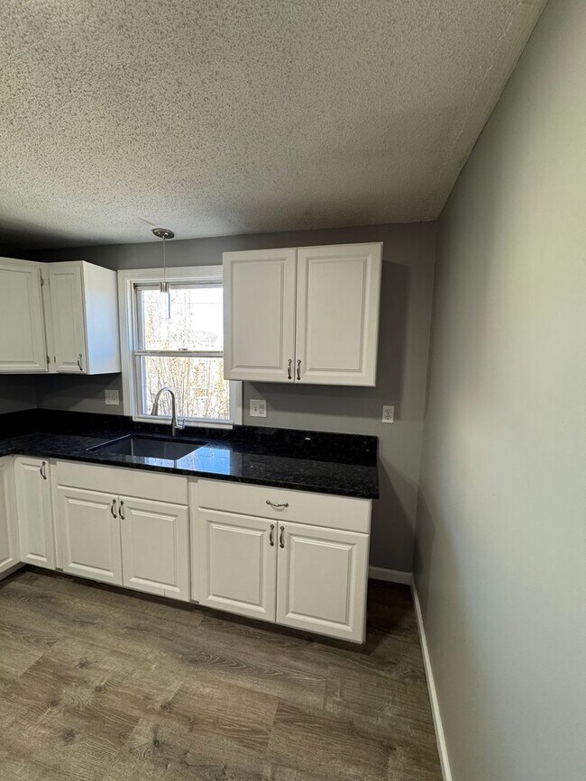 Building Photo - 1036 Chicopee St