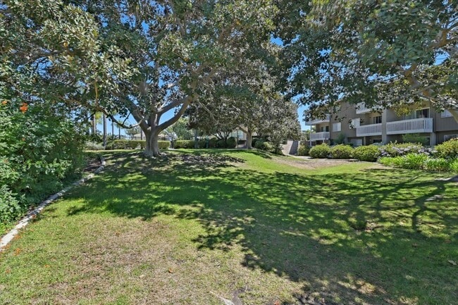 Building Photo - 4212 Vista Panorama Way