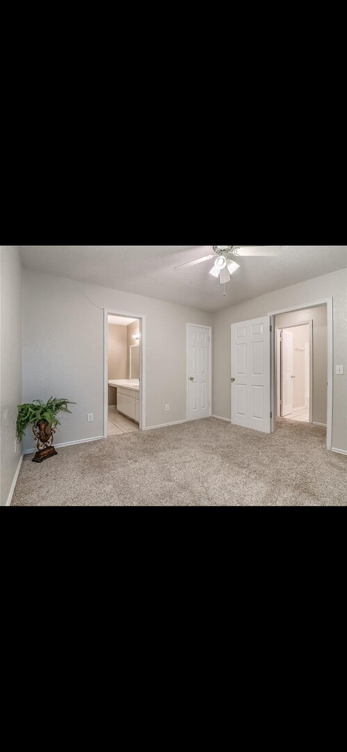 Building Photo - Perfect Duplex in Quiet, Cozy Shadowlake