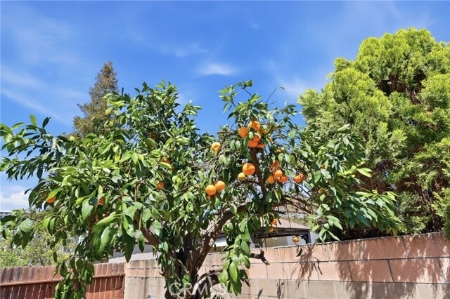 Building Photo - 2608 Balfour Ave