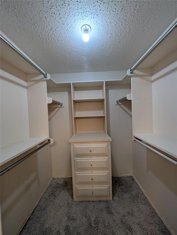 Building Photo - 10133 Bromley Ct