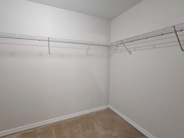 Building Photo - 6381 Havenmist Ln