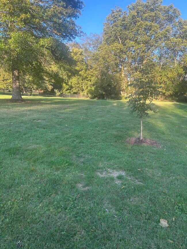 Building Photo - 409 Lawson Dr