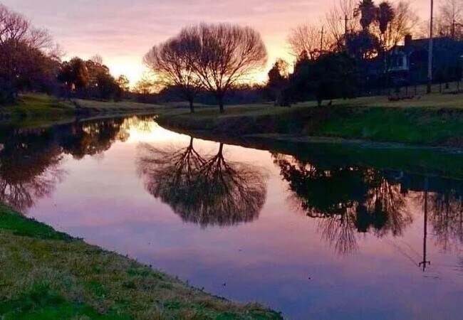 Building Photo - 1353 Ramada Dr