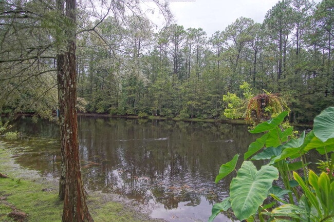 Building Photo - Spacious End-Unit Townhome with Lake Views...