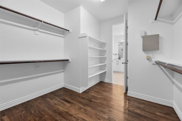 Building Photo - 1013 Siena Dr