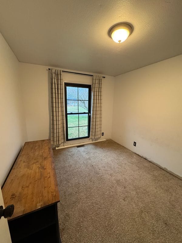 Building Photo - 1408 Scarlett O'Hara Ct