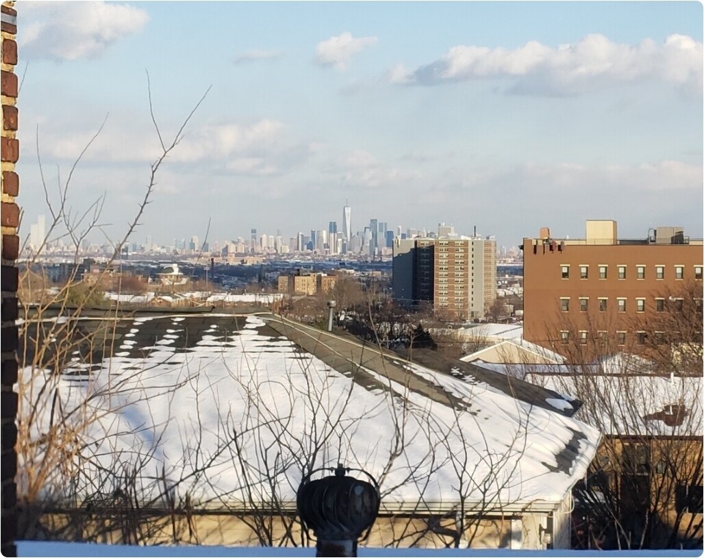 Building Photo - 8 Farley Ave