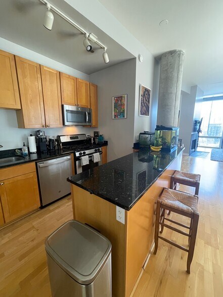 Kitchen - 720 N Larrabee St Unit 1707