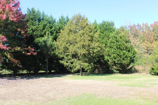 Building Photo - 4 Bedroom Single Family Home in Nashville