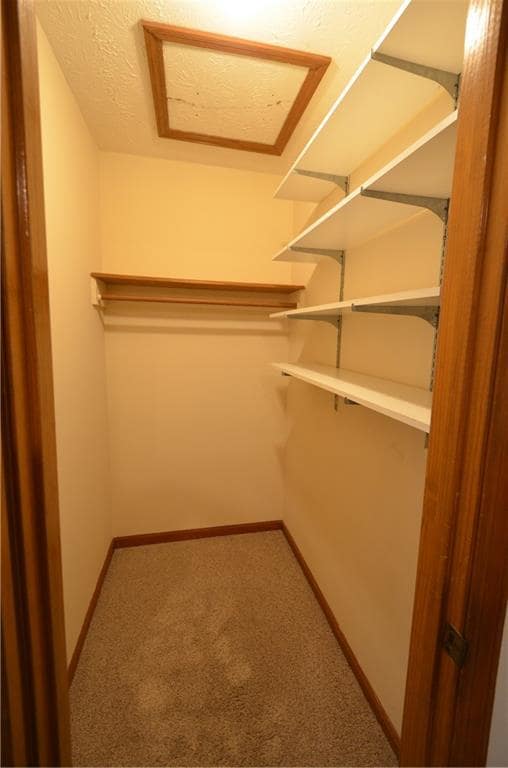 Building Photo - 4064 Stephanie Ct