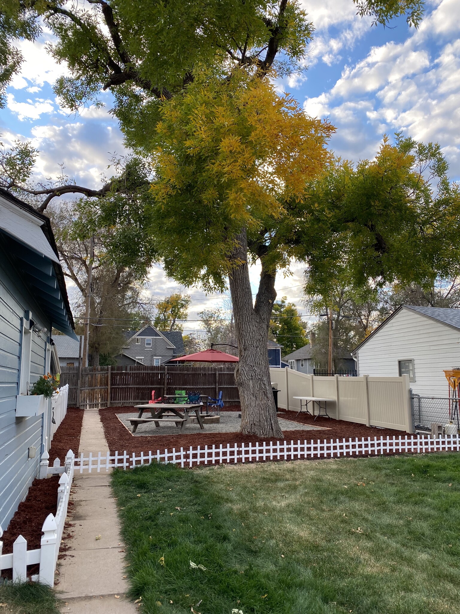 Newly landscaped backyard - 1827 6th Ave