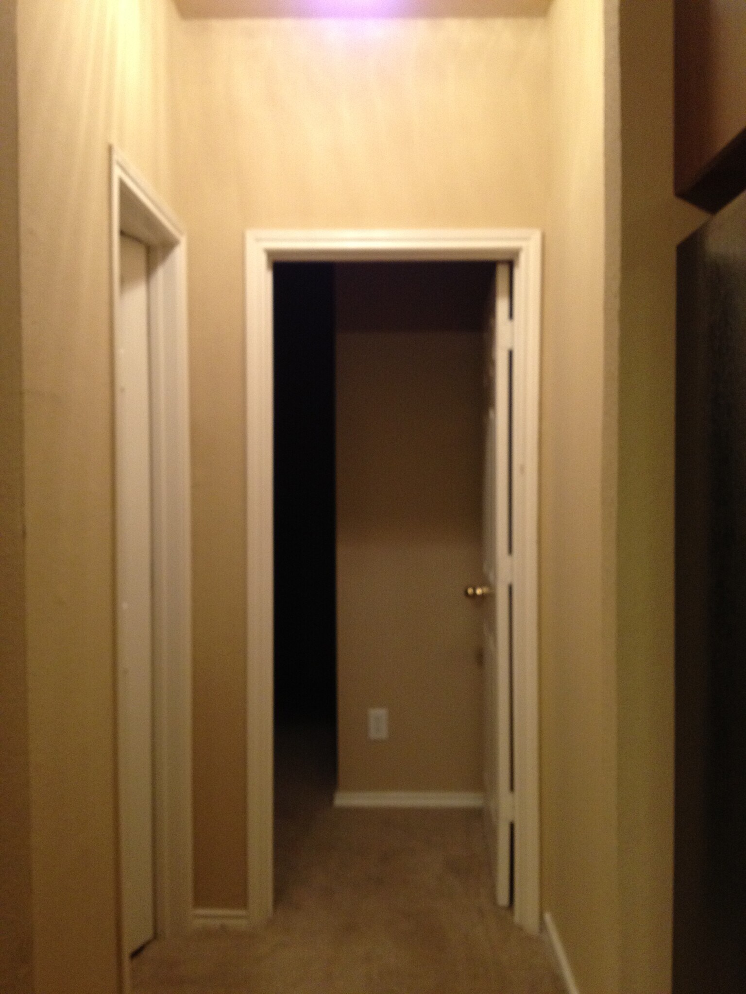 Building Photo - 5003 Gemsbuck Chase