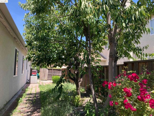 Building Photo - 10448 Almanor Cir