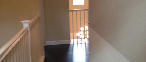 Building Photo - 146 Colner Cir