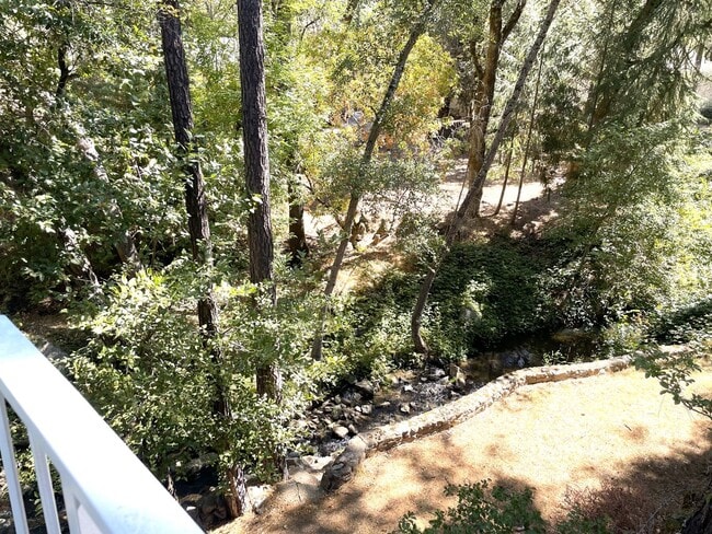 Building Photo - 3 bedroom, 2 bath home in Lake Wildwood, Penn Valley, CA 95946