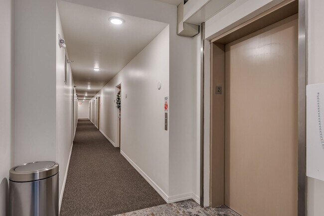 Interior Photo - Wedgewood Apartments