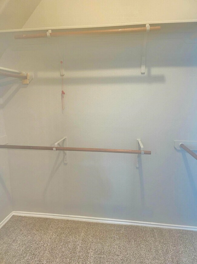 Building Photo - 20419 Canton Trce