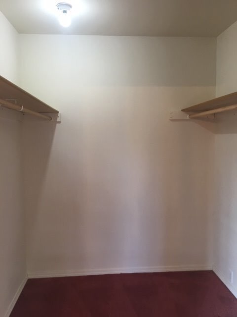 Building Photo - SINGLE FAMILY HOME ON HORSEHAVEN (APP#86)