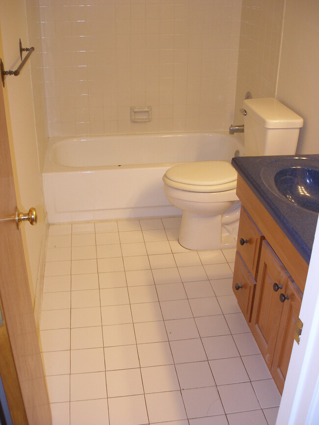 second bathroom - 115 Bent Arrow Dr