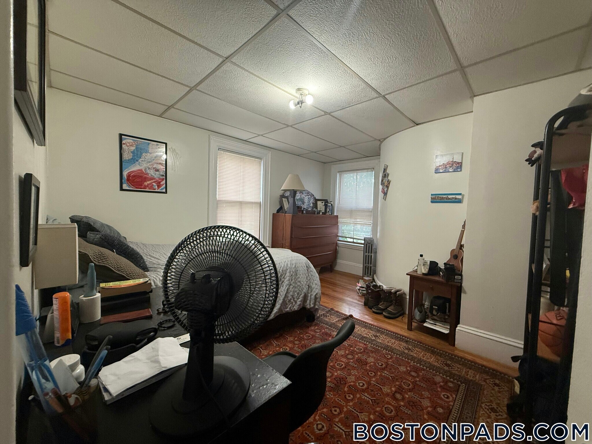 Building Photo - 50 Vinal Ave