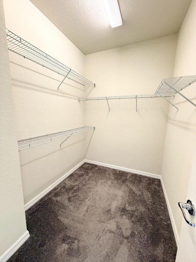 Building Photo - 2800 Troubadour St