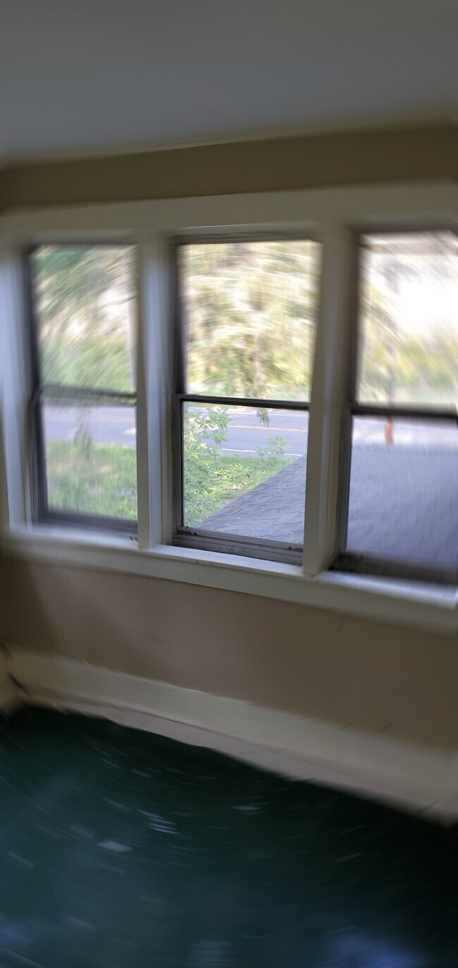 Primary Photo - 908 Tulip St