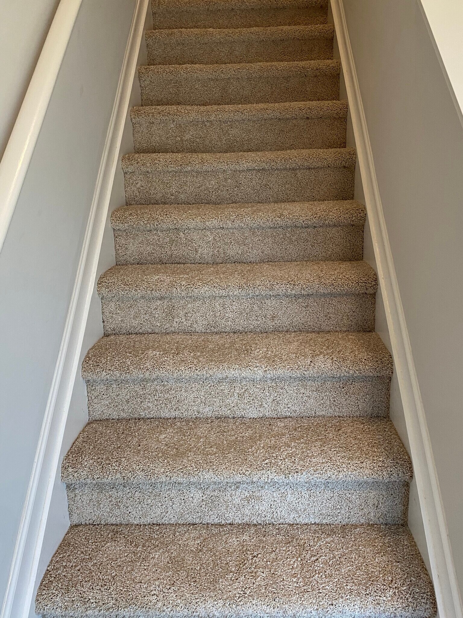 New carpeting/stairs, hallway & master bedroom - 501 Clifford Hts
